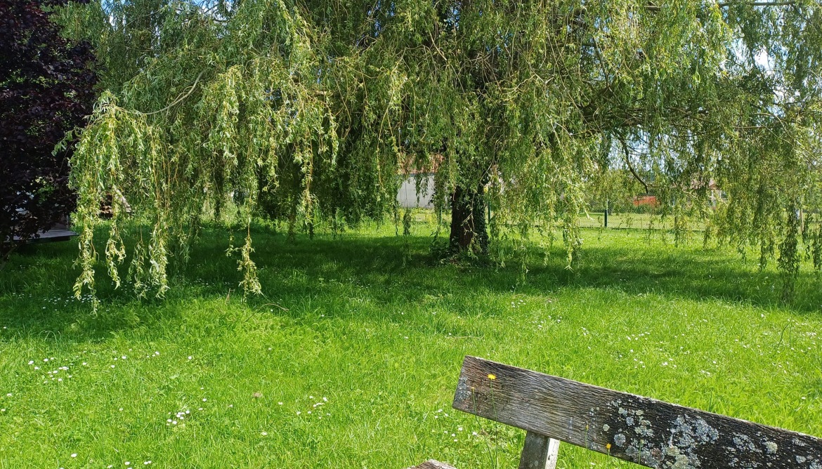 Jardin