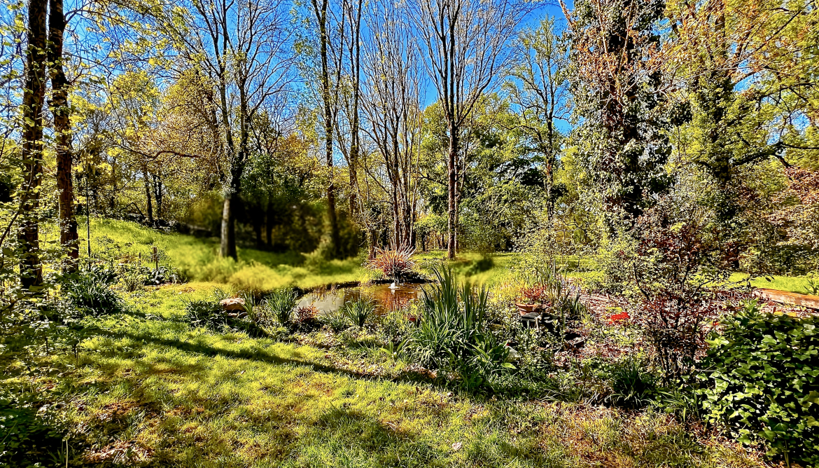 Jardin