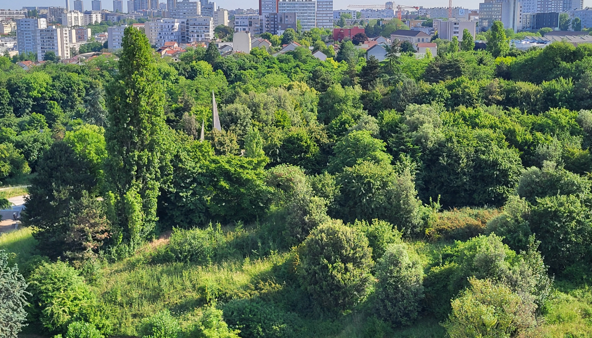 Vue exterieur Vue exterieur