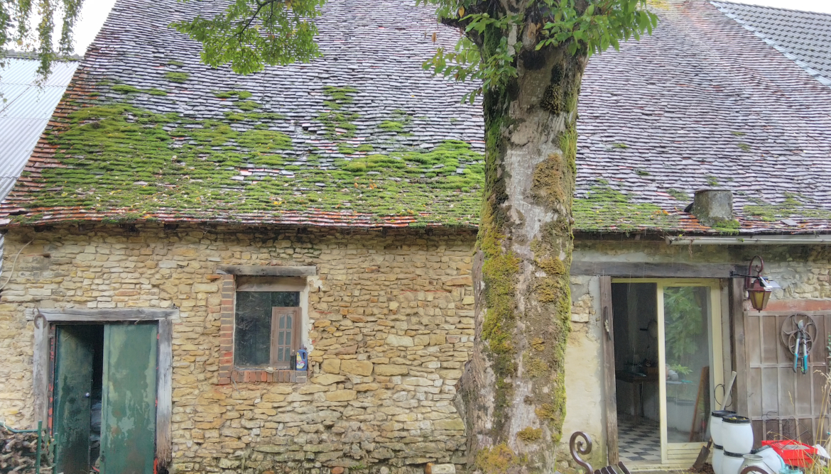 Vue exterieur